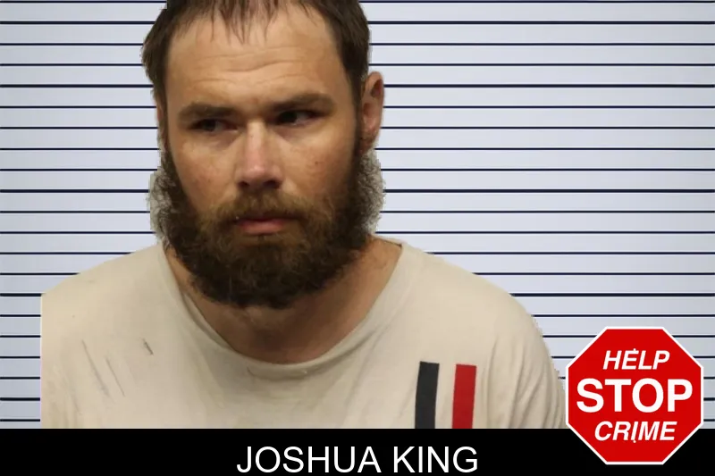 Joshua King mugshot