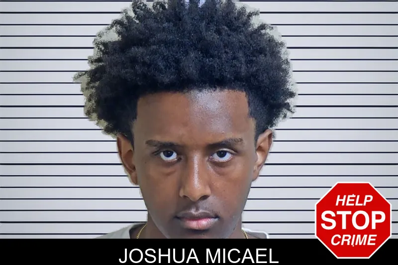 Joshua Micael mugshot