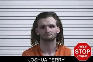 Joshua Perry mugshot