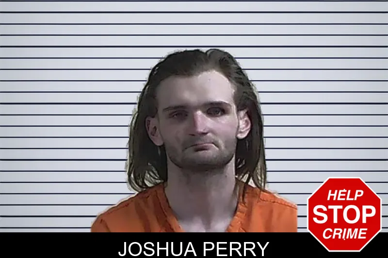 Joshua Perry mugshot