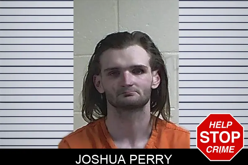 Joshua Perry mugshot