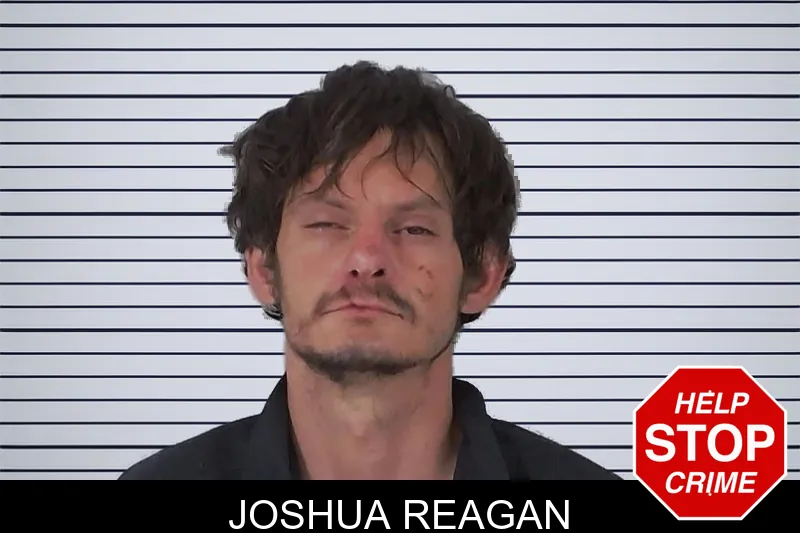 Joshua Reagan mugshot