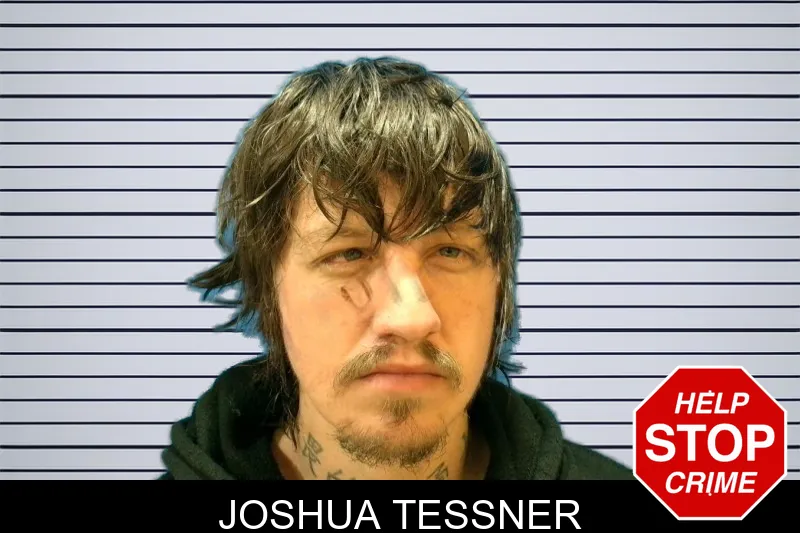 Joshua Tessner mugshot