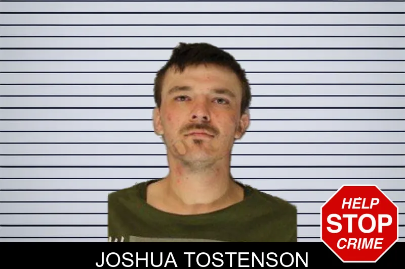 Joshua Tostenson mugshot