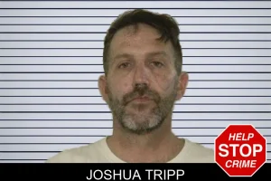 Joshua Tripp mugshot