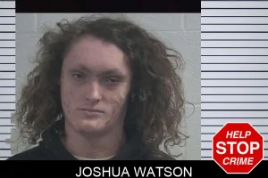 Joshua Watson mugshot