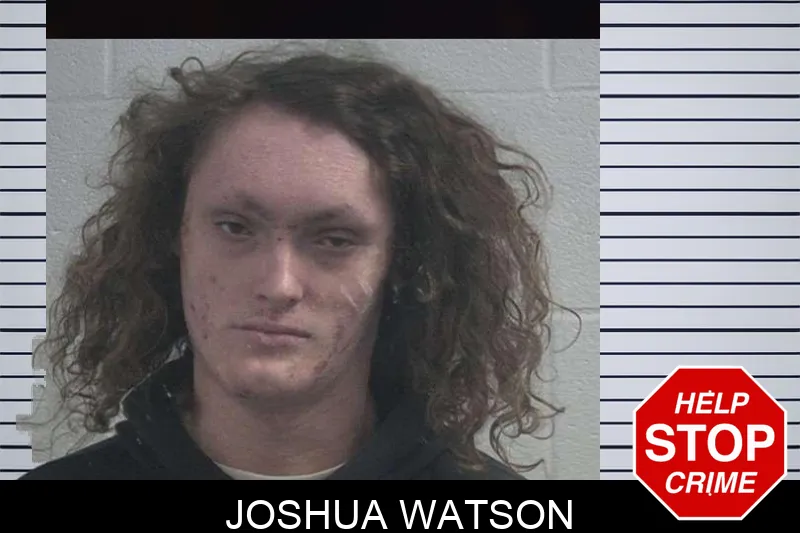 Joshua Watson mugshot