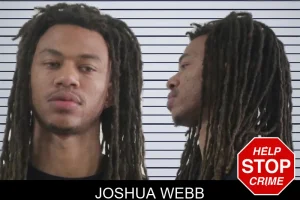 Joshua Webb mugshot