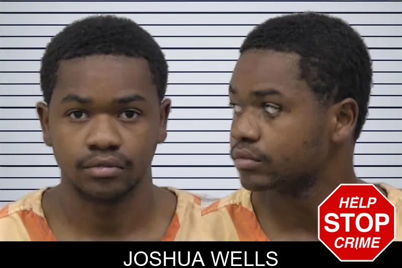 Joshua Wells mugshot