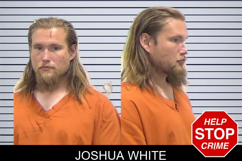 Joshua White mugshot