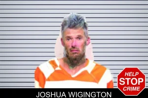 Joshua Wigington mugshot