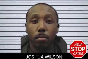 Joshua Wilson mugshot