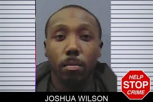 Joshua Wilson mugshot