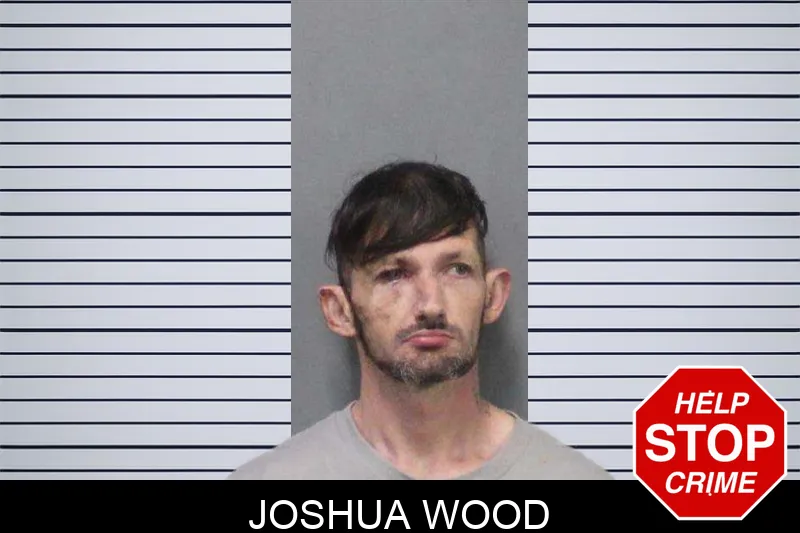 Joshua Wood mugshot