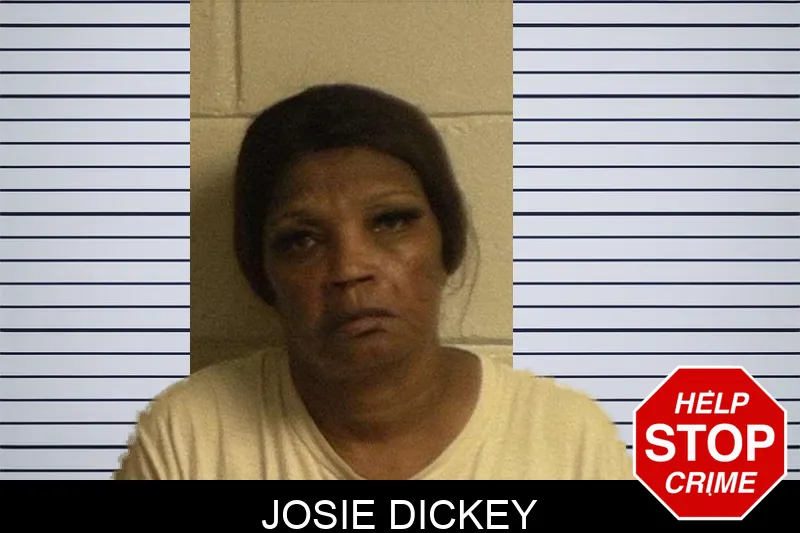 Josie Dickey mugshot