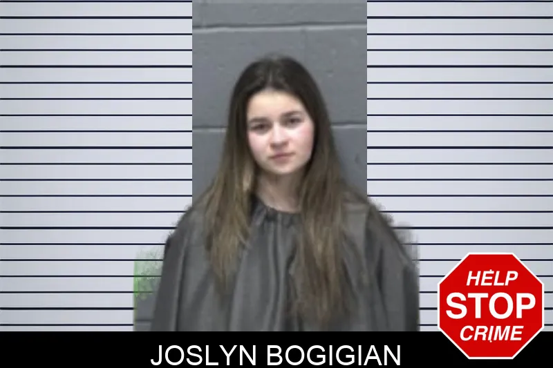 Joslyn Bogigian mugshot