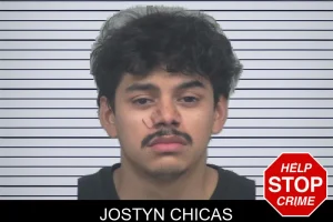 Jostyn Chicas mugshot