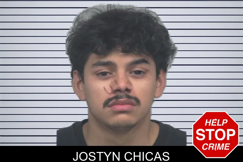 Jostyn Chicas mugshot