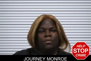 Journey Monroe mugshot