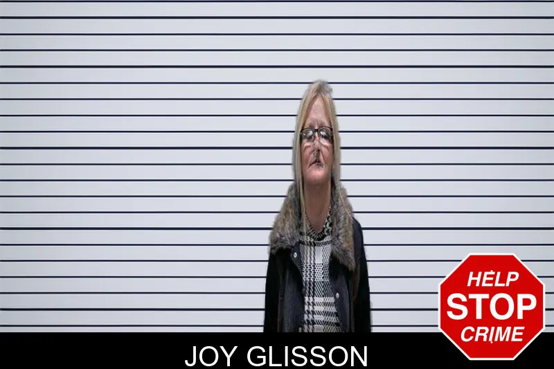 Joy Glisson mugshot – Charlton County , Georgia Joy Glisson mugshot
