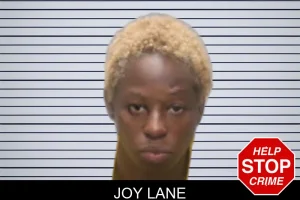 Joy Lane mugshot
