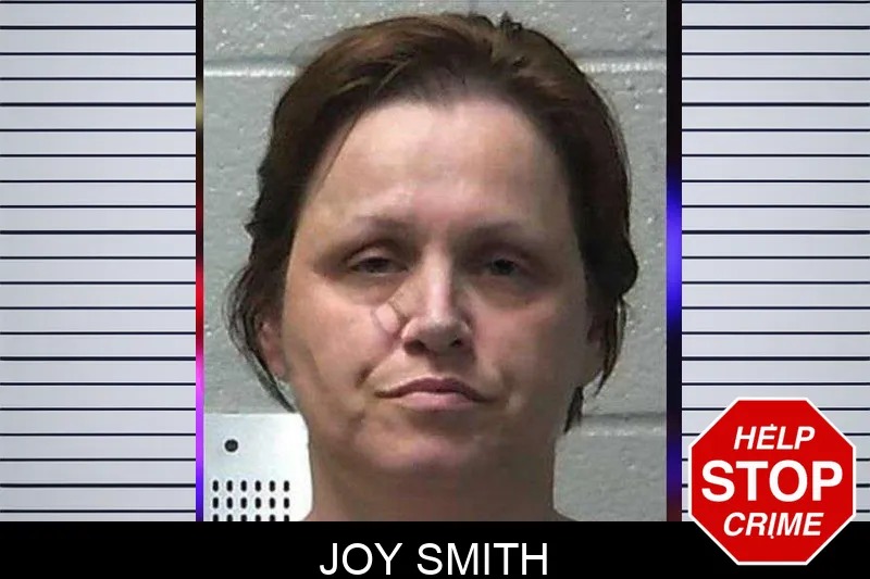 Joy Smith mugshot