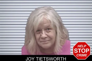 Joy Tietsworth mugshot