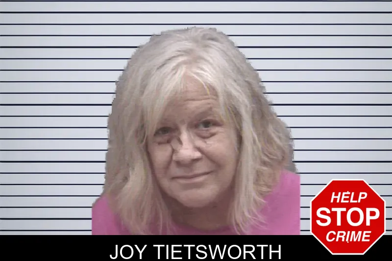 Joy Tietsworth mugshot