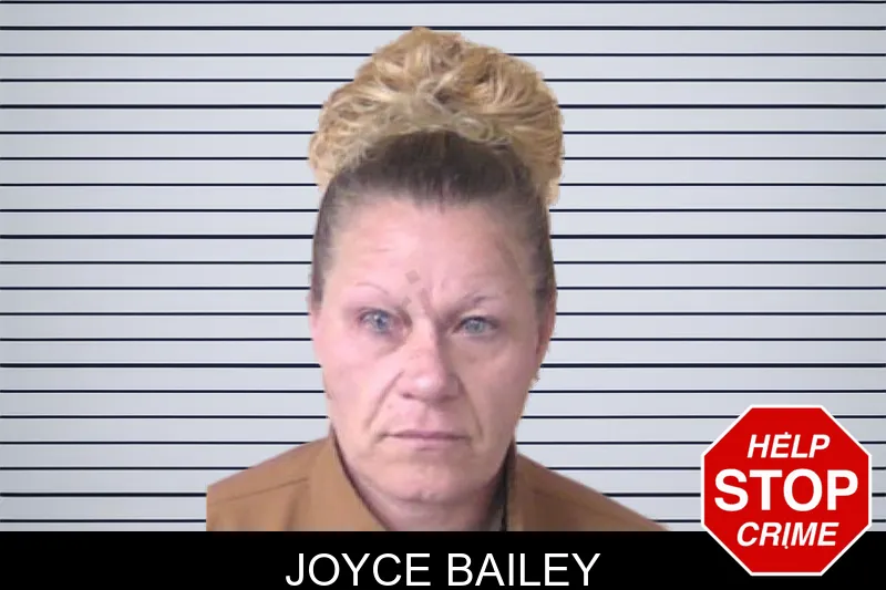 Joyce Bailey mugshot
