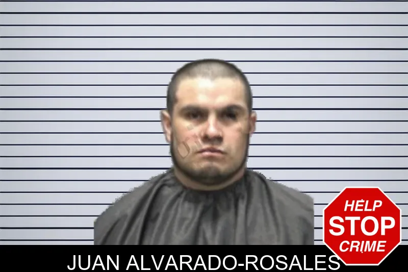 Juan Alvarado-Rosales mugshot
