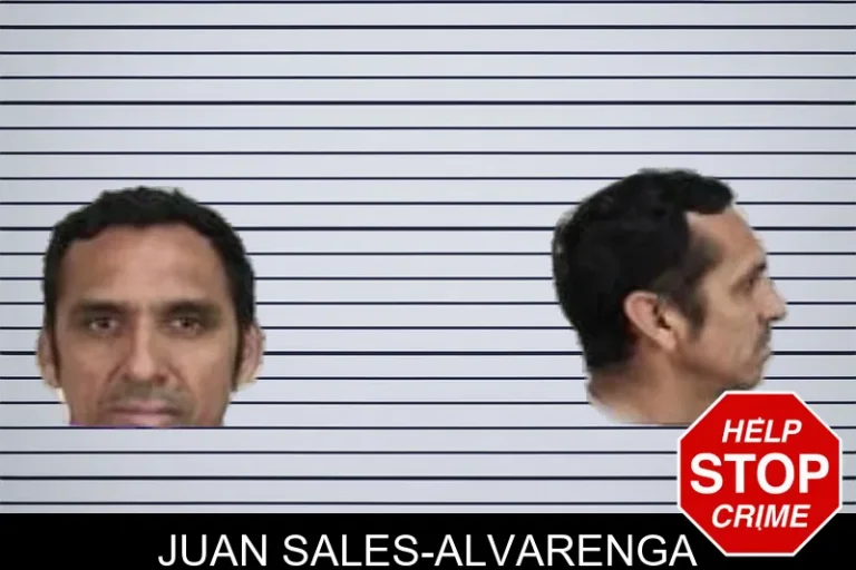Juan Sales-Alvarenga mugshot – Camden County , Georgia Juan Sales-Alvarenga