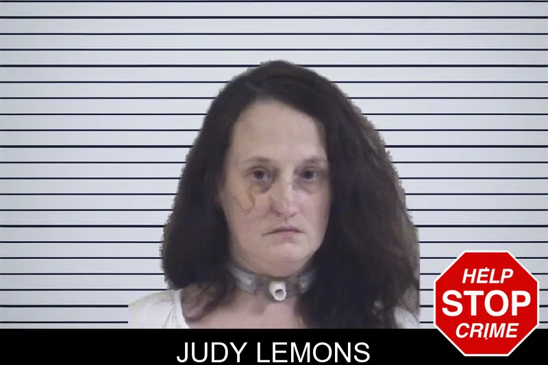 Judy Lemons mugshot