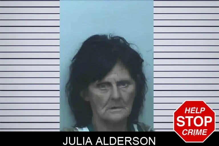 Julia Alderson mugshot – Lanier County , Georgia Julia Alderson