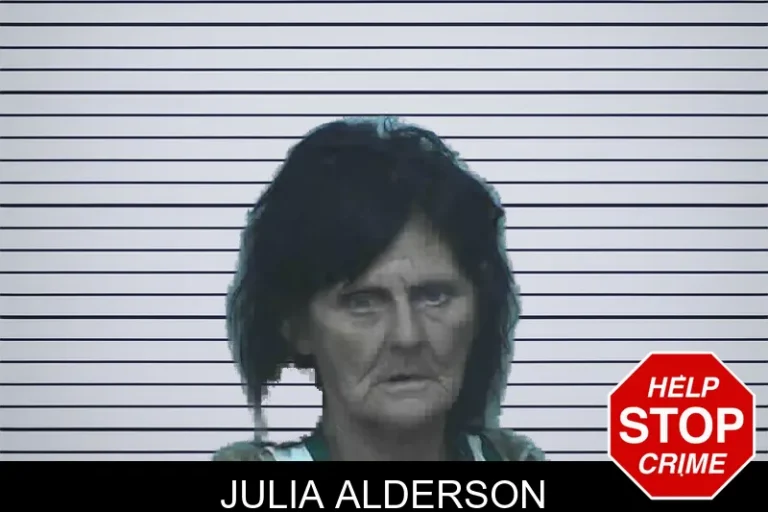 Julia Alderson mugshot – Lanier County , Georgia Julia Alderson