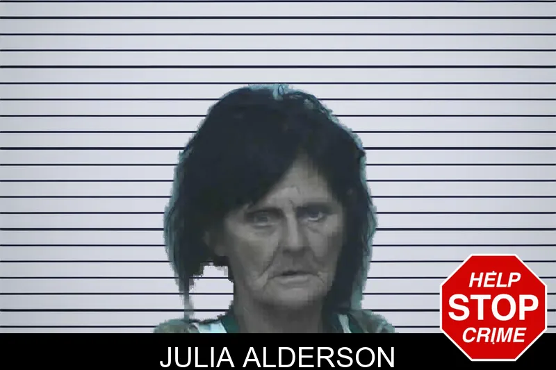 Julia Alderson mugshot – Lanier County , Georgia Julia Alderson mugshot