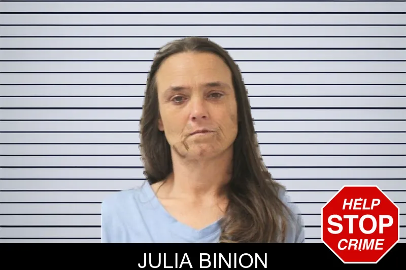 Julia Binion mugshot – Toombs County , Georgia Julia Binion mugshot