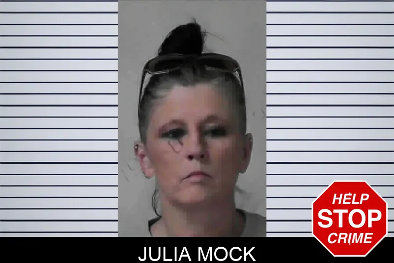 Julia Mock mugshot
