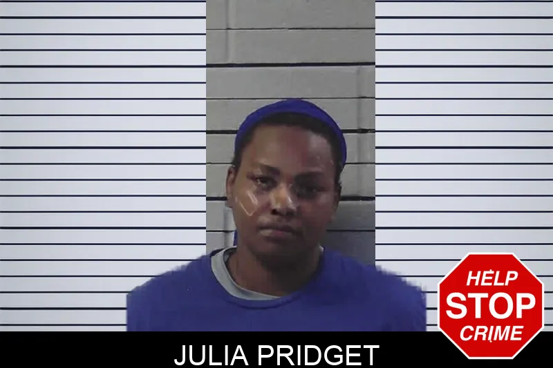 Julia Pridget mugshot