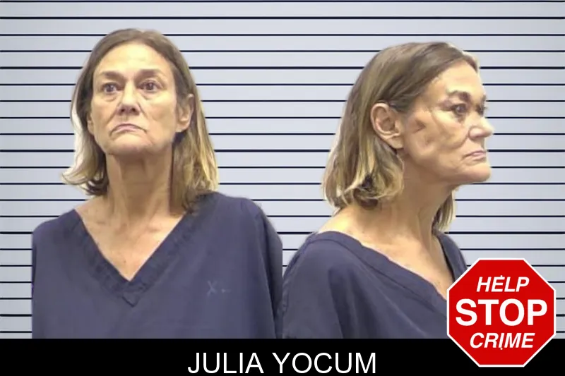 Julia Yocum mugshot