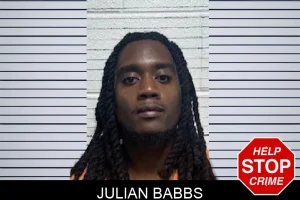 Julian Babbs mugshot