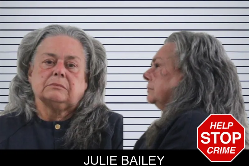 Julie Bailey mugshot