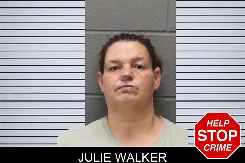 Julie Walker mugshot