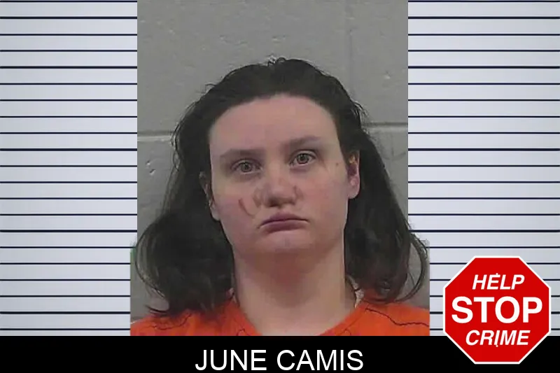 June Camis mugshot – Butts County , Georgia June Camis mugshot