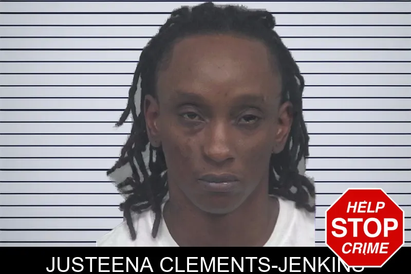 Justeena Clements-Jenkins mugshot