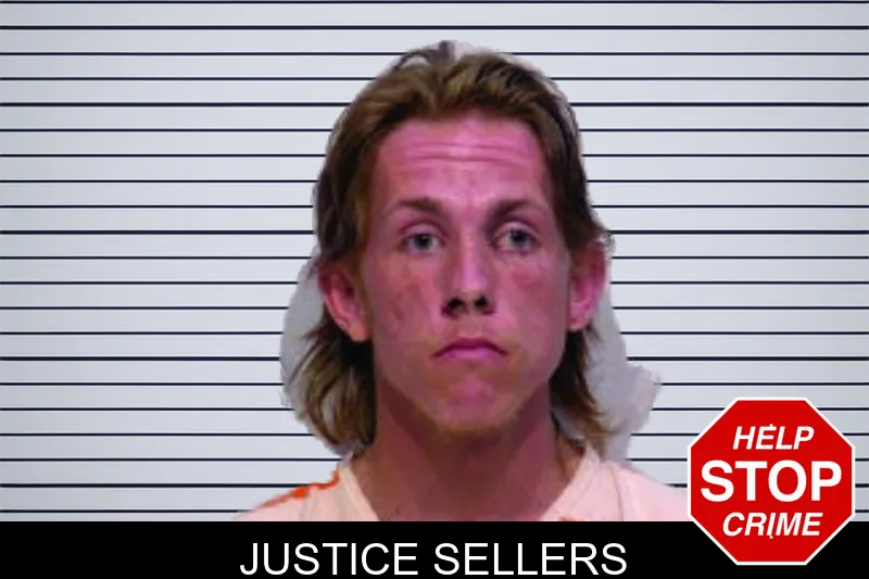 Justice Sellers mugshot – Bartow County , Georgia Justice Sellers mugshot