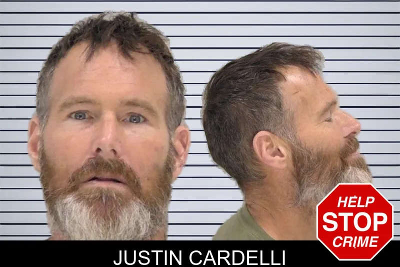 Justin Cardelli mugshot