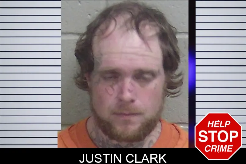Justin Clark mugshot – Wayne County , Georgia Justin Clark mugshot