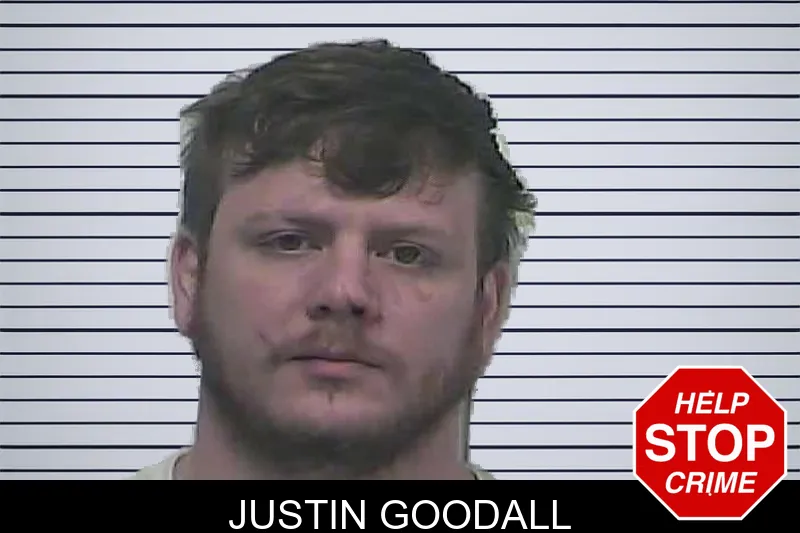Justin Goodall mugshot