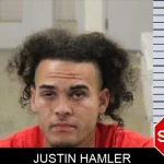 Justin Hamler mugshot