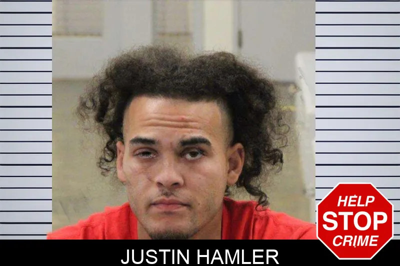 Justin Hamler mugshot